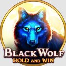 Black Wolf Demo Slot Überprüfung