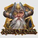 Ring of Odin Demo Slot Überprüfung