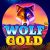Wolf Gold Demo Slot Überprüfung